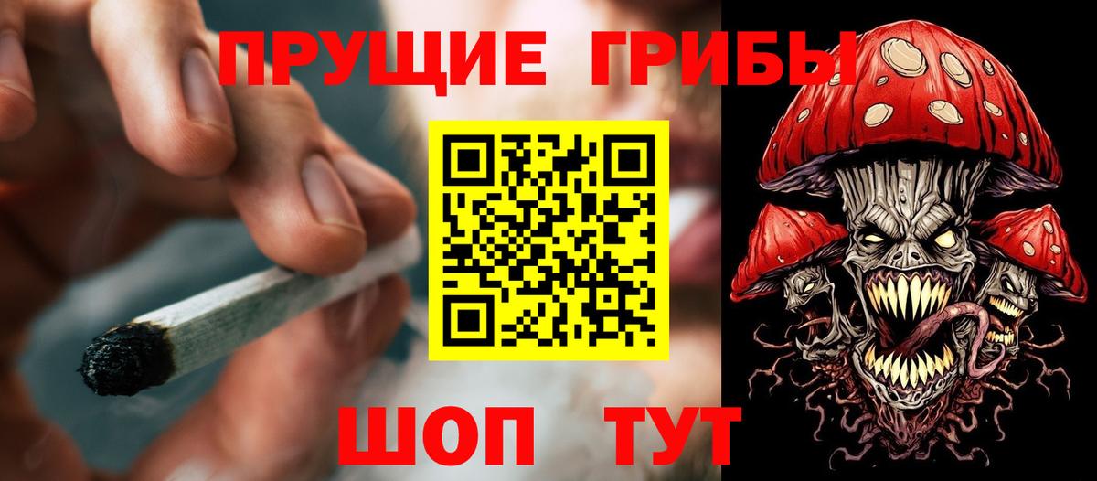 Псилоцибиновые грибы ЛСД Кисловодск